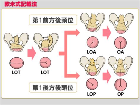 後方位